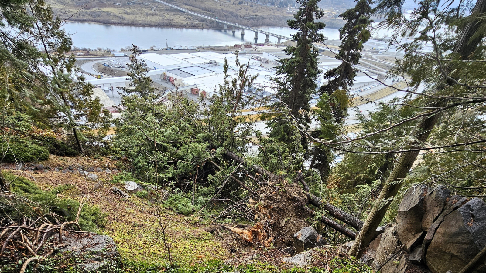 Helicopter to be used to remove hazardous trees at Ohme Gardens